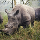 Illustration for article titled Here Are the Winners of iNational Geographic/is Traveler Photo Contest